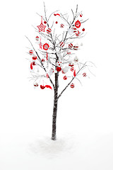 Image showing Decorated Christmas Tree