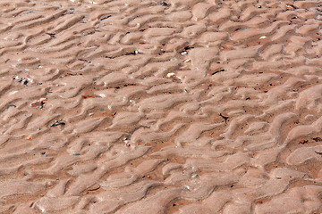 Image showing Background from sea sand