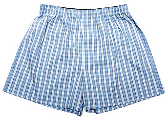 Image showing Blue plaid male undershorts