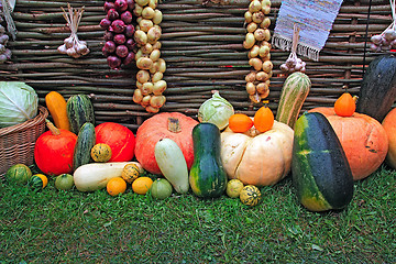 Image showing vegetable background 