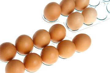 Image showing Eggs