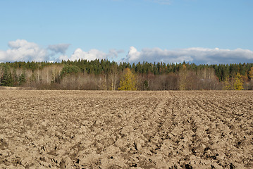 Image showing Ploughed Field