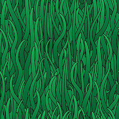 Image showing Abstract background of green grass