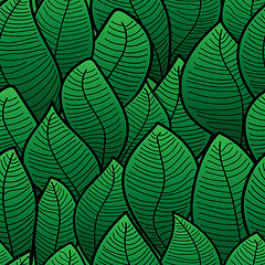 Image showing Abstract background of green leaf