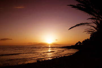 Image showing Sunset Paradise