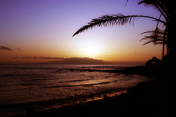 Image showing Sunset Paradise