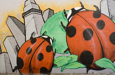 Image showing ladybird graffiti