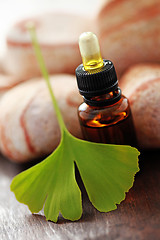 Image showing ginko essential oil