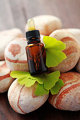 Image showing ginko essential oil