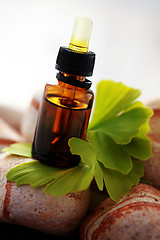 Image showing ginko essential oil