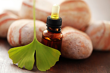 Image showing ginko essential oil