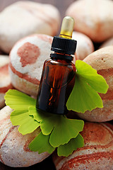 Image showing ginko essential oil