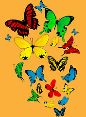 Image showing Color butterflies