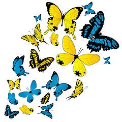 Image showing Butterflies background