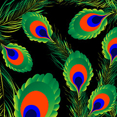 Image showing Peacock feathers background