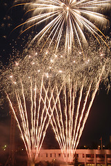 Image showing Fireworks flower