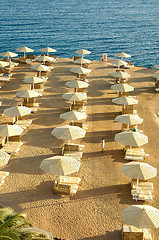 Image showing Red Sea Beach