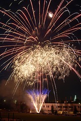 Image showing Fireworks flower