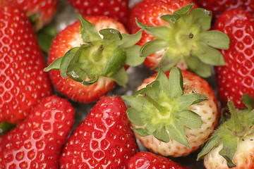 Image showing strawberries and green tops