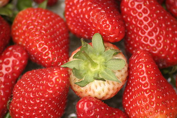 Image showing strawberries and one green top