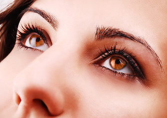 Image showing  Beautiful woman eyes 