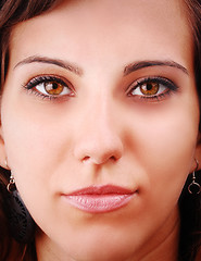 Image showing close-up portrait