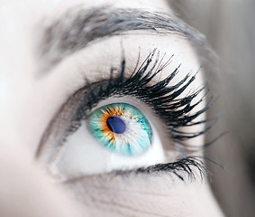 Image showing Beauty big eye