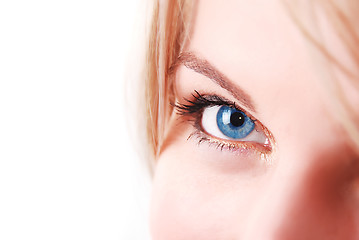 Image showing blue eye macro