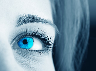 Image showing blue eye 