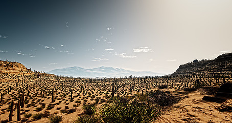 Image showing arizona