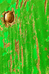 Image showing green wood texture 