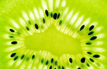 Image showing center of kiwi slice 