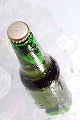 Image showing bottle of beer on ice