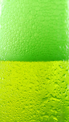 Image showing wet beer bottle