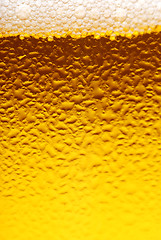 Image showing Glass of beer close-up 