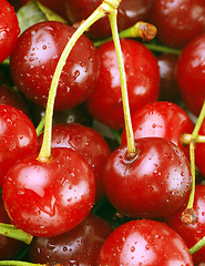 Image showing bunch of fresh cherries