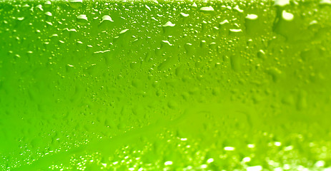 Image showing wet beer bottle