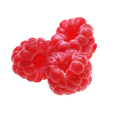 Image showing raspberries