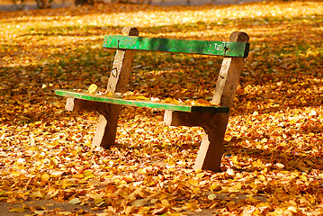 Image showing Autumn