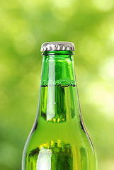 Image showing Beer bottle