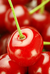 Image showing bunch of fresh cherries