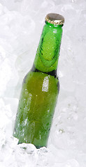 Image showing bottle of beer on ice