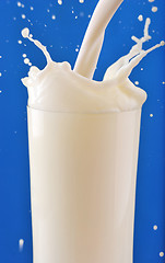 Image showing Milk splash 