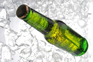 Image showing bottle of beer on ice