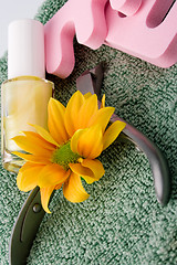Image showing pedicure beauty set and flower