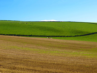 Image showing Cardross hill