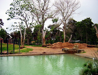 Image showing Green pond. Melbourne. Australia