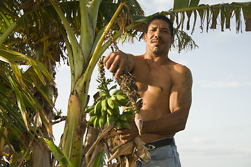 Image showing native Nicaragua man with banana plantains