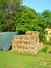 Image showing lobster pot traps in yard Big Corn Island Nicaragua