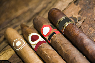 Image showing variety hand rolled cigars on tobacco leaf made in Nicaragua